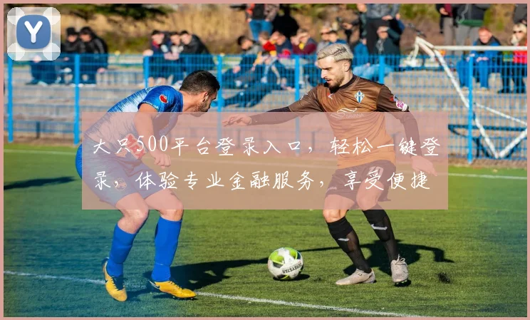 大只500平台登录入口，轻松一键登录，体验专业金融服务，享受便捷操作，快来体验吧
