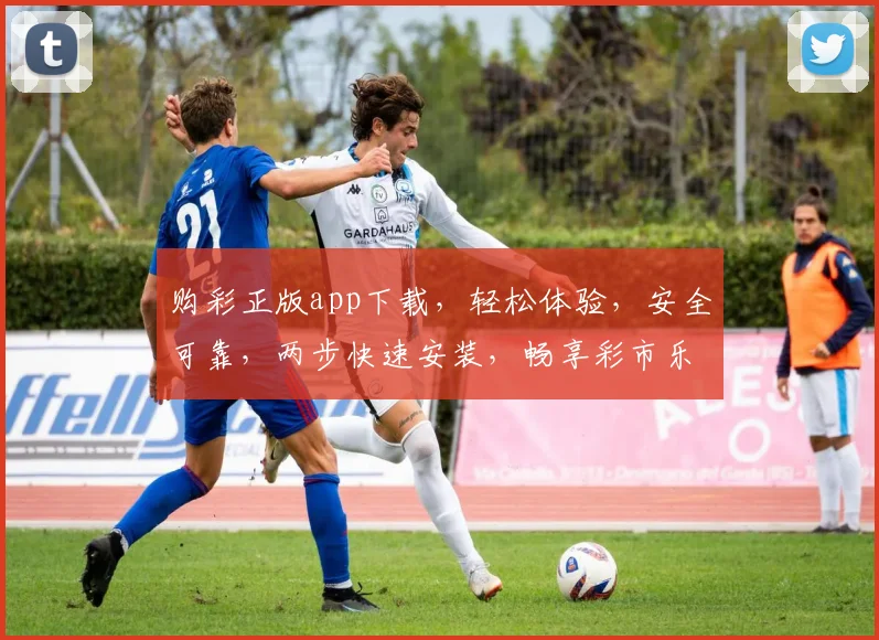 购彩正版app下载，轻松体验，安全可靠，两步快速安装，畅享彩市乐趣