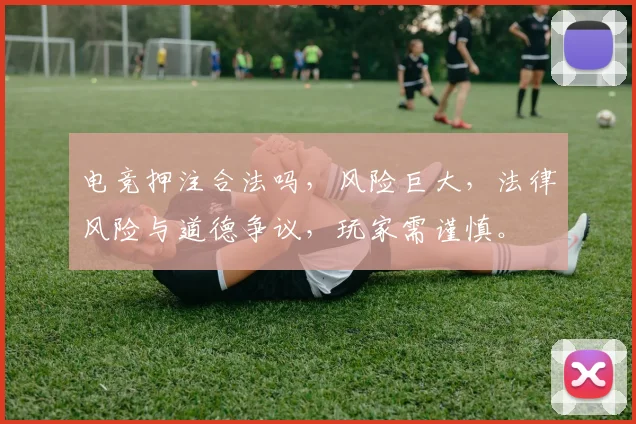 电竞押注合法吗，风险巨大，法律风险与道德争议，玩家需谨慎。