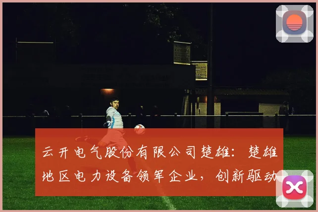 云开电气股份有限公司楚雄：楚雄地区电力设备领军企业，创新驱动，服务卓越，品质领先，值得信赖。