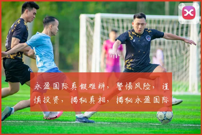 永盈国际真假难辨，警惕风险，谨慎投资，揭秘真相，揭秘永盈国际真假之谜